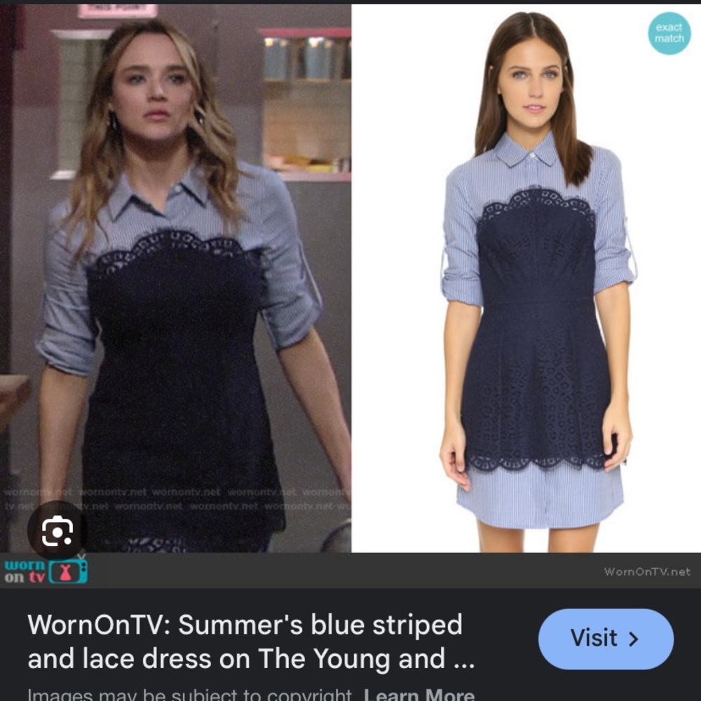 BCBG Maxazria Kaylin Blue striped Lace Dress - Picture 6 of 7
